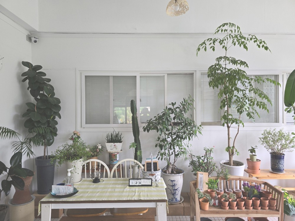 홍봉화펜션 이미지