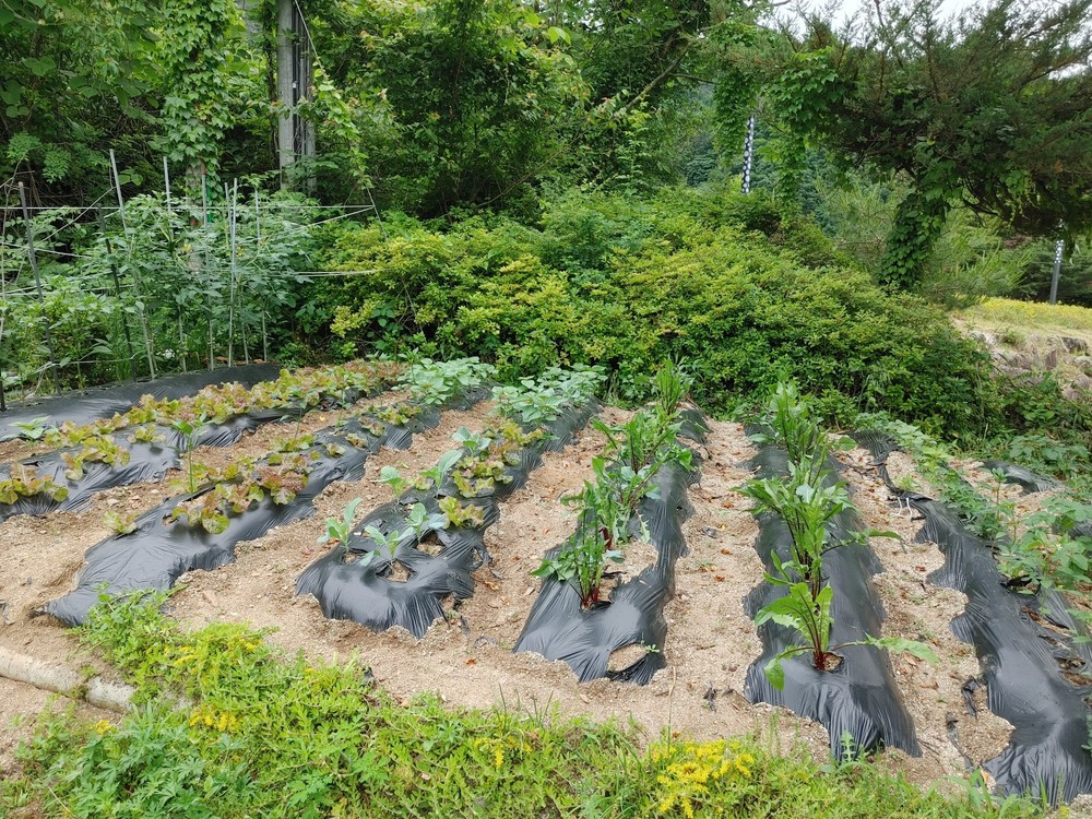 물고을펜션 이미지