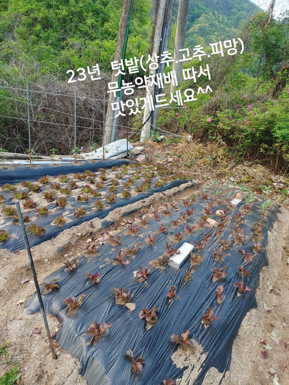 물고을펜션 이미지