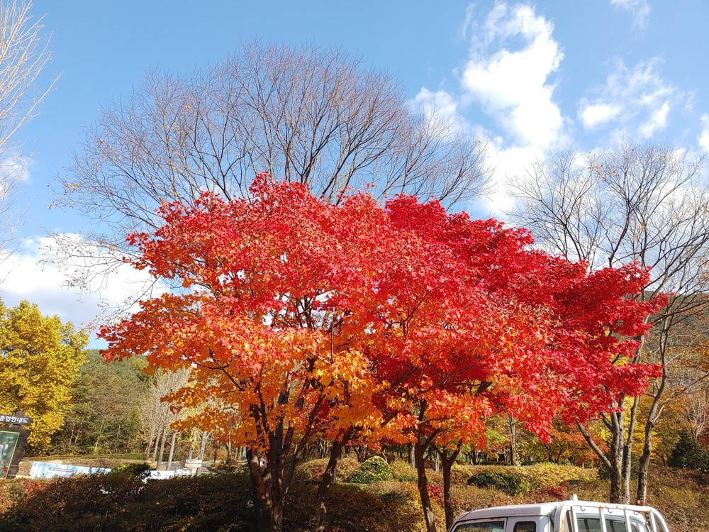 물고을펜션 이미지
