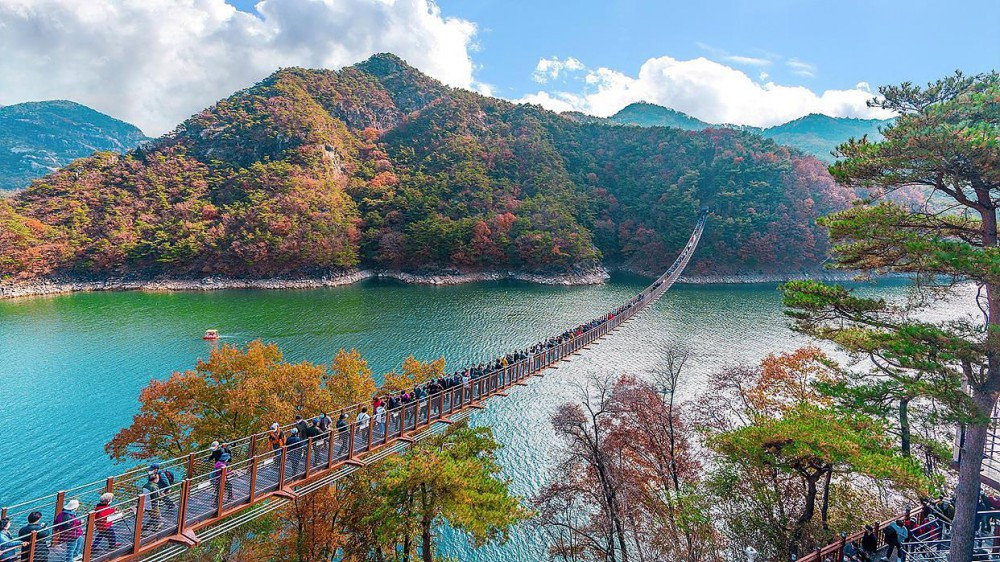 BS제천펜션 이미지