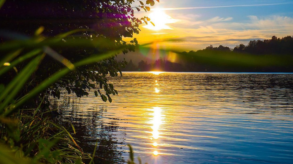 BS제천펜션 이미지