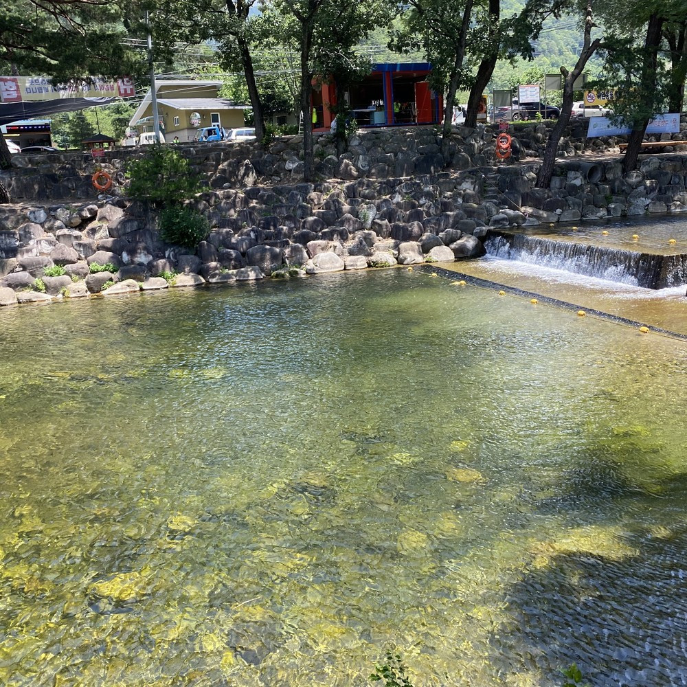 꽃들의물감찾기펜션 이미지