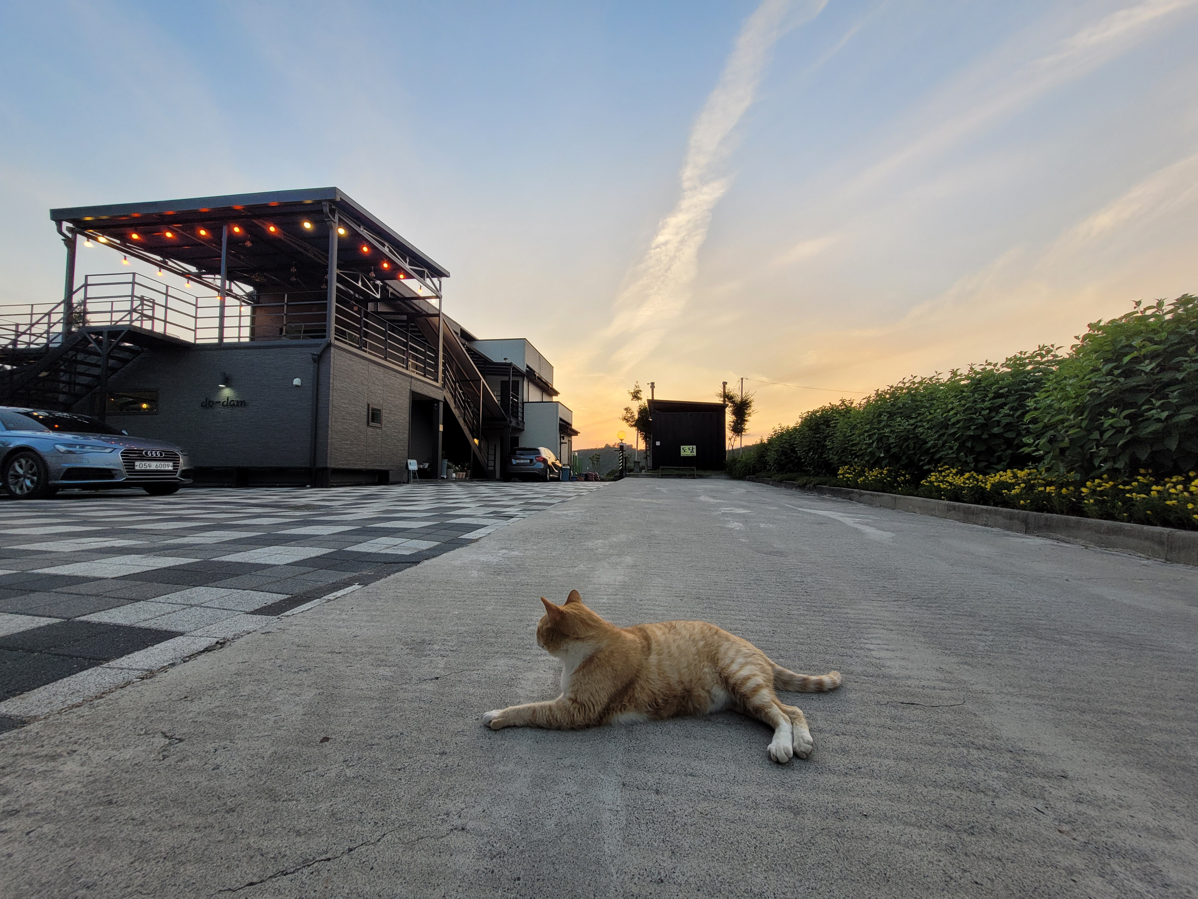 도담게스트하우스 이미지