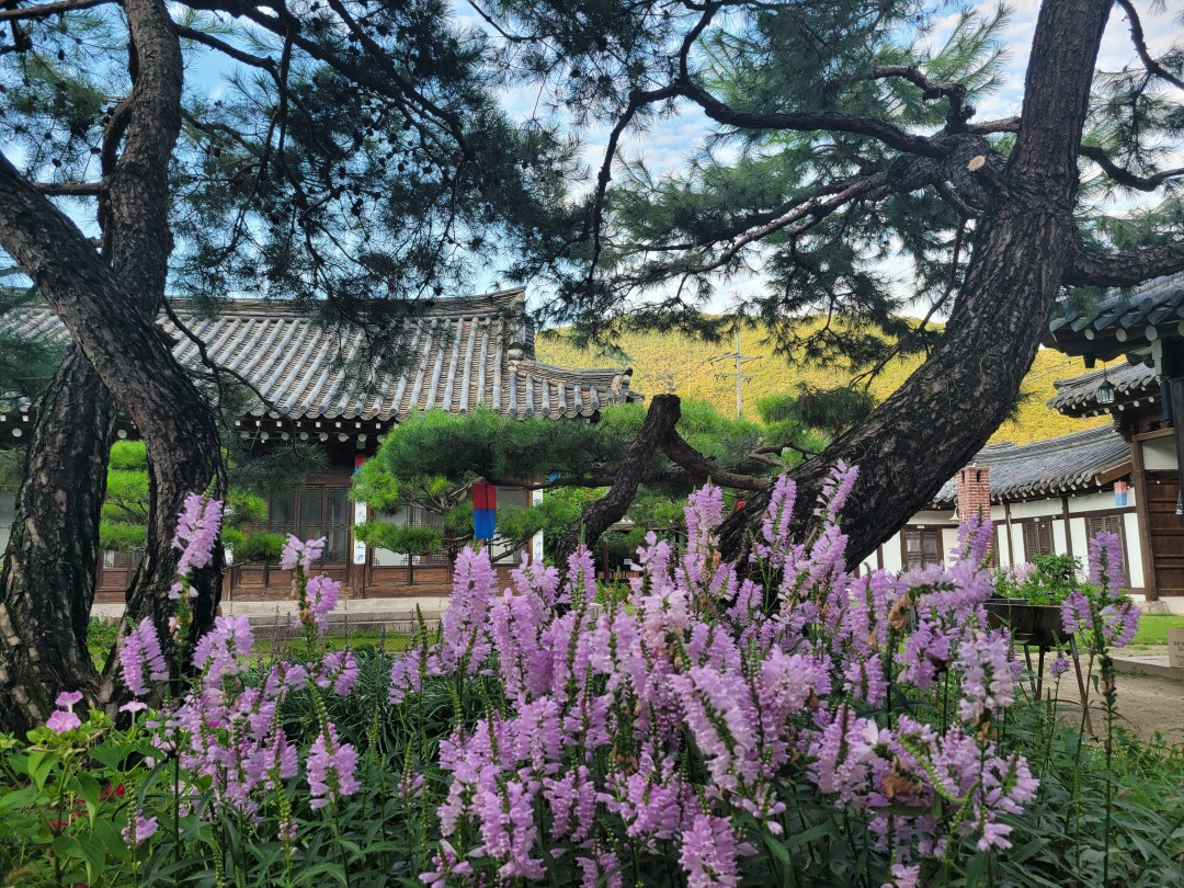 단촌서원고택펜션 이미지