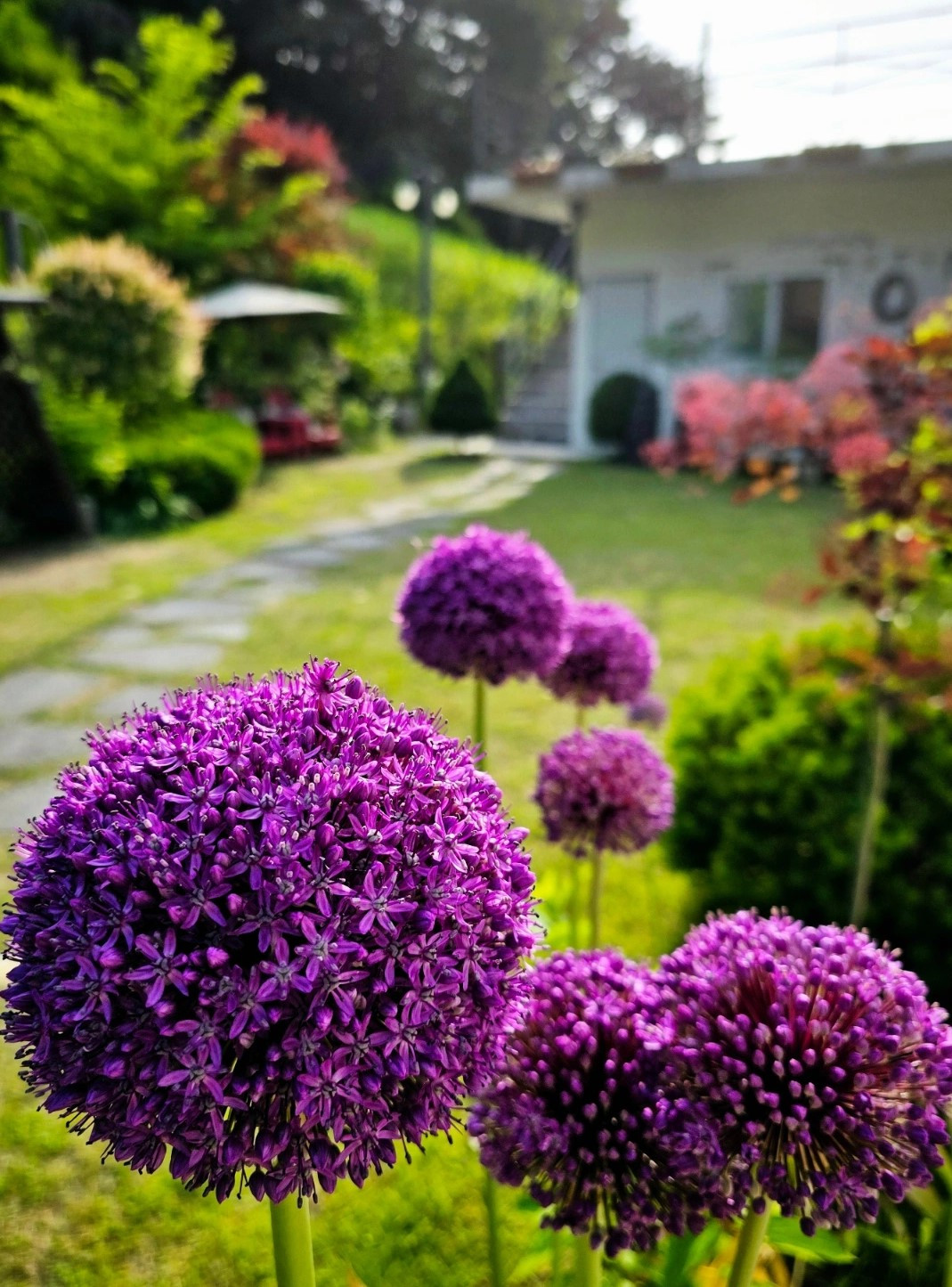 레미니스펜션 이미지