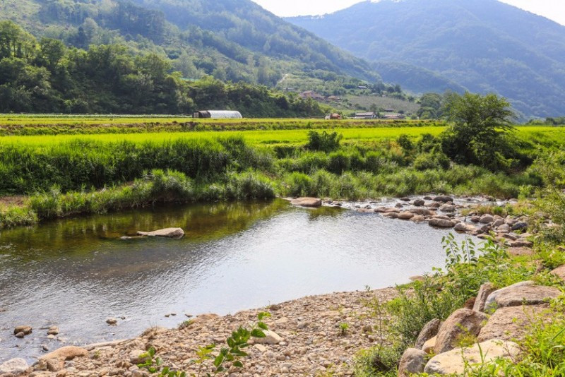 전통한옥휴양마을펜션 이미지