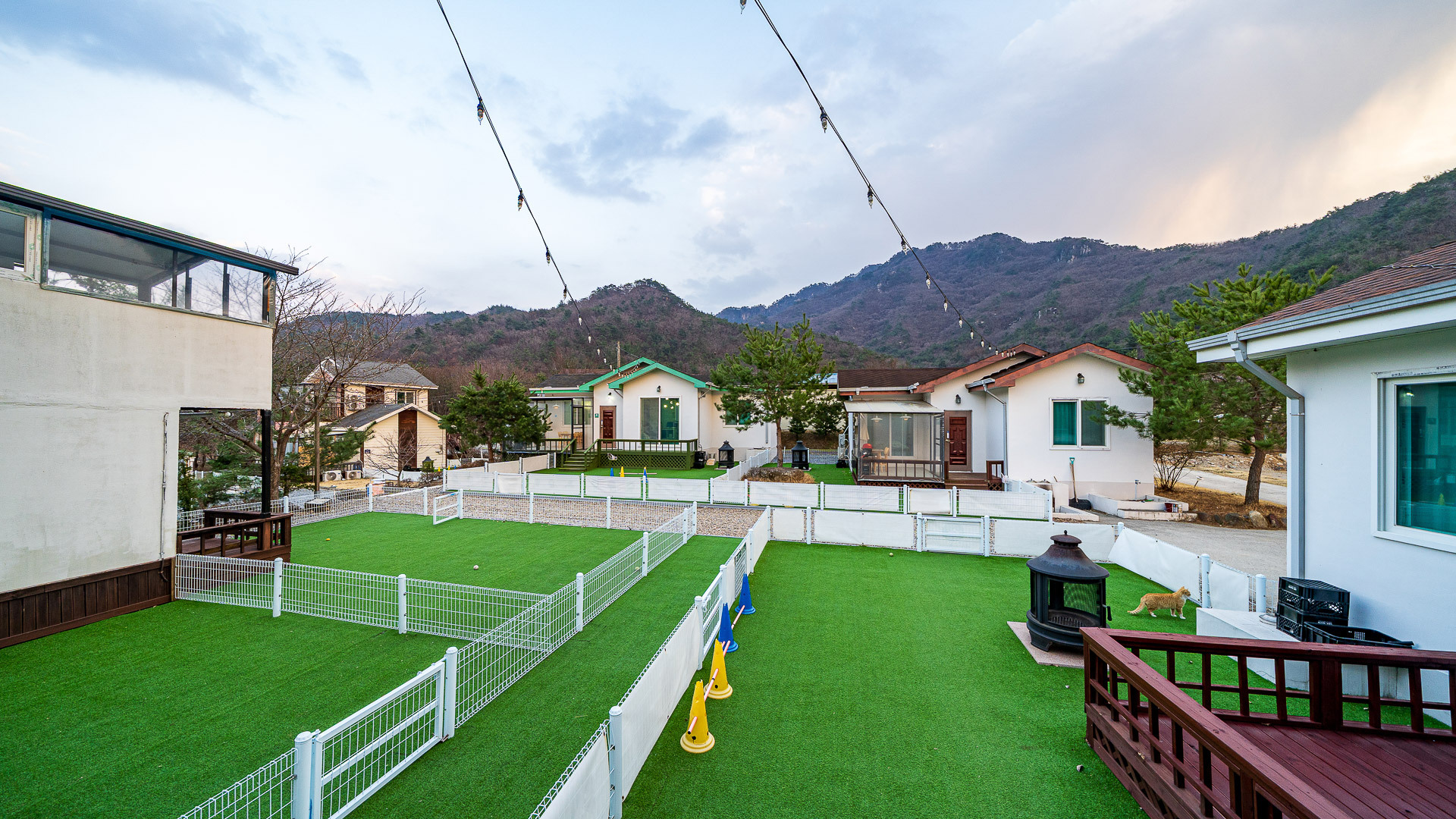 마추피추애견펜션 이미지