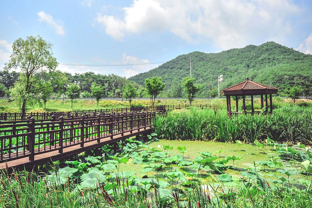 라벨라비타펜션