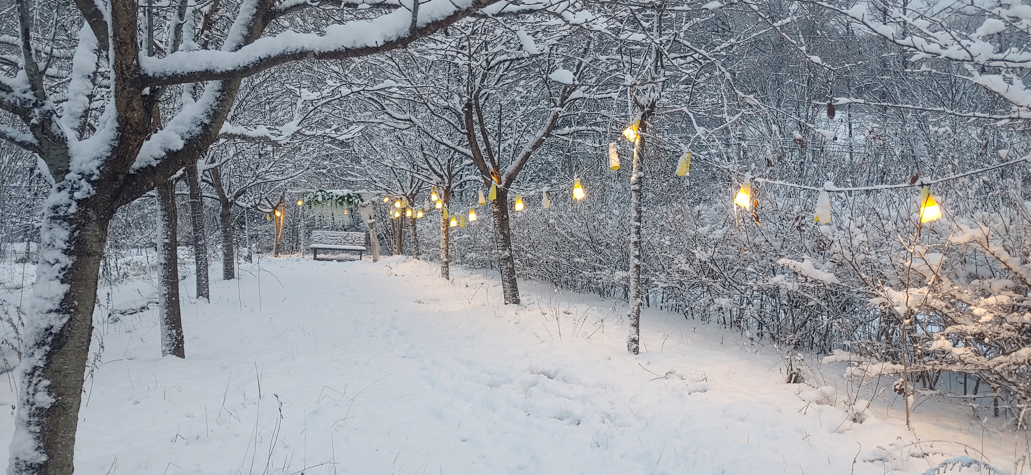 슈르르까 이미지