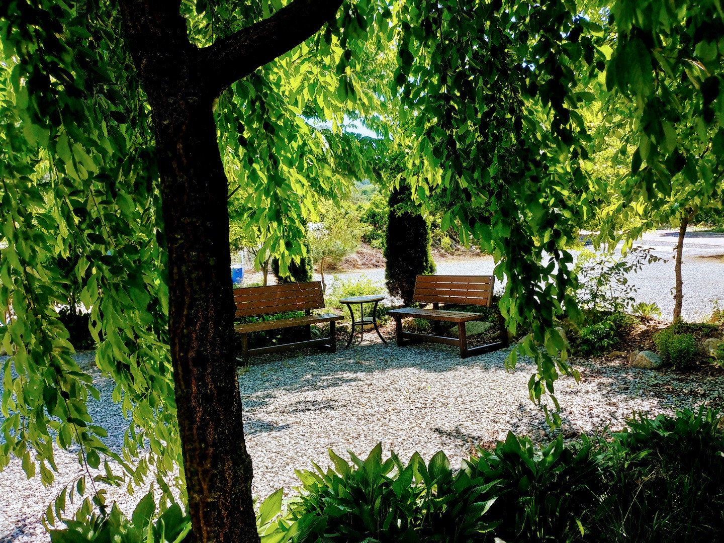 슈르르까 이미지