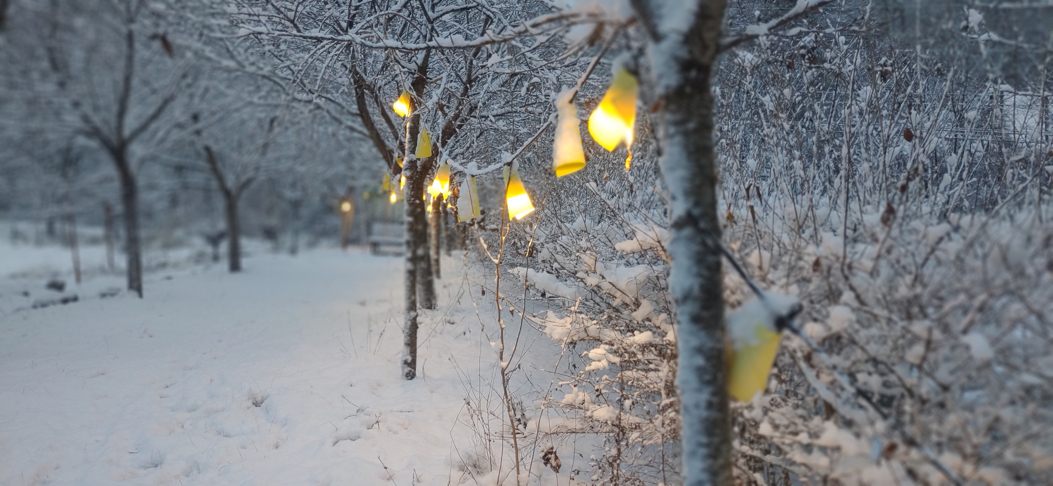 슈르르까 이미지