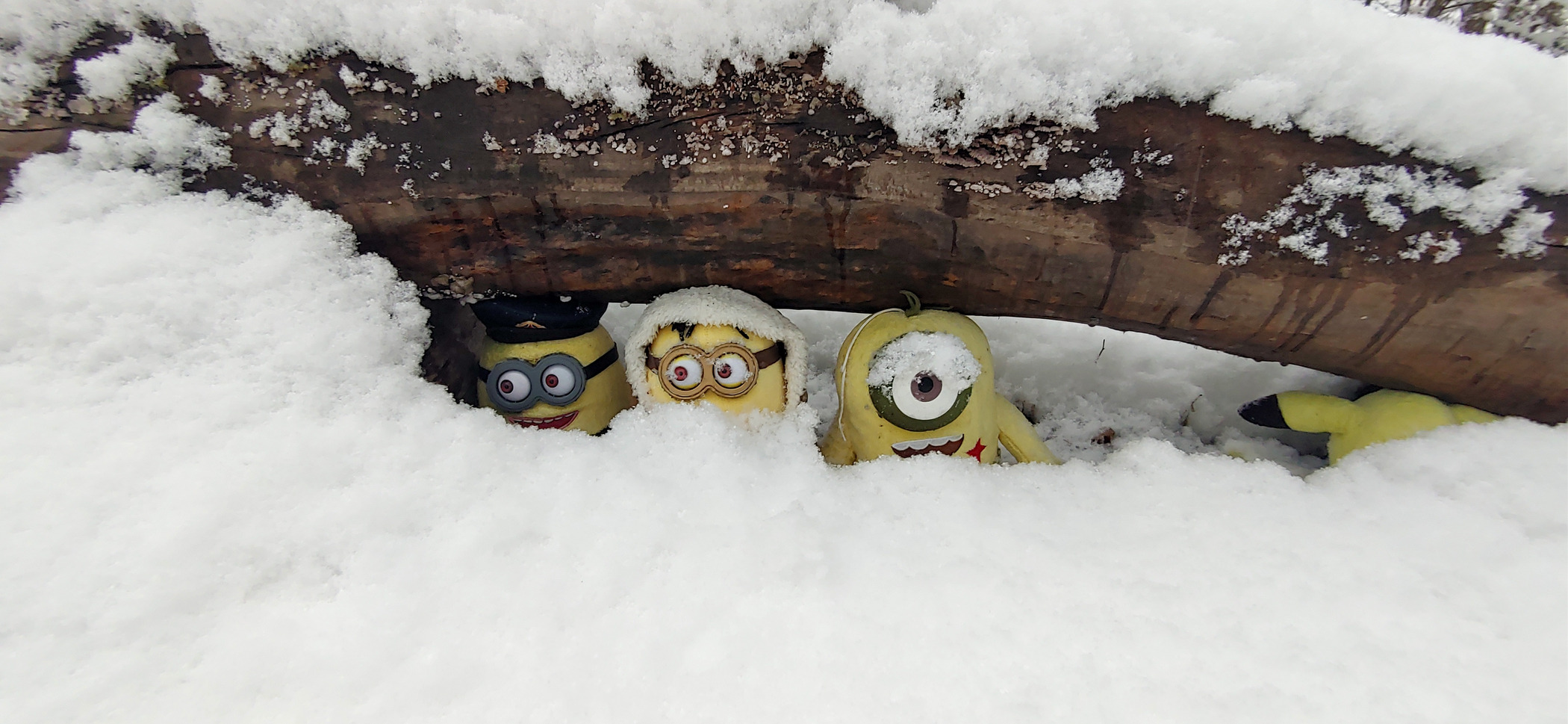 슈르르까 이미지