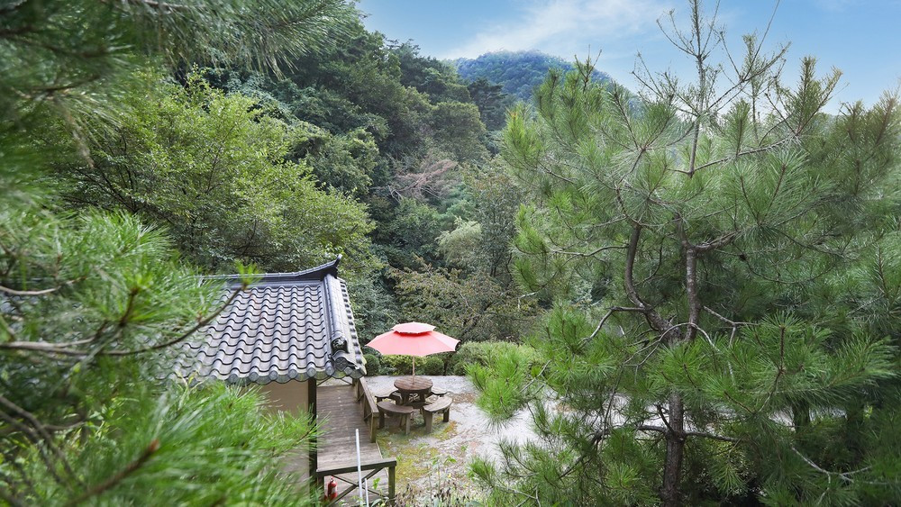 소백산통나무펜션 이미지