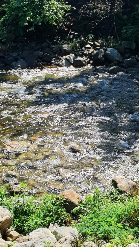 하늘꿈펜션 이미지