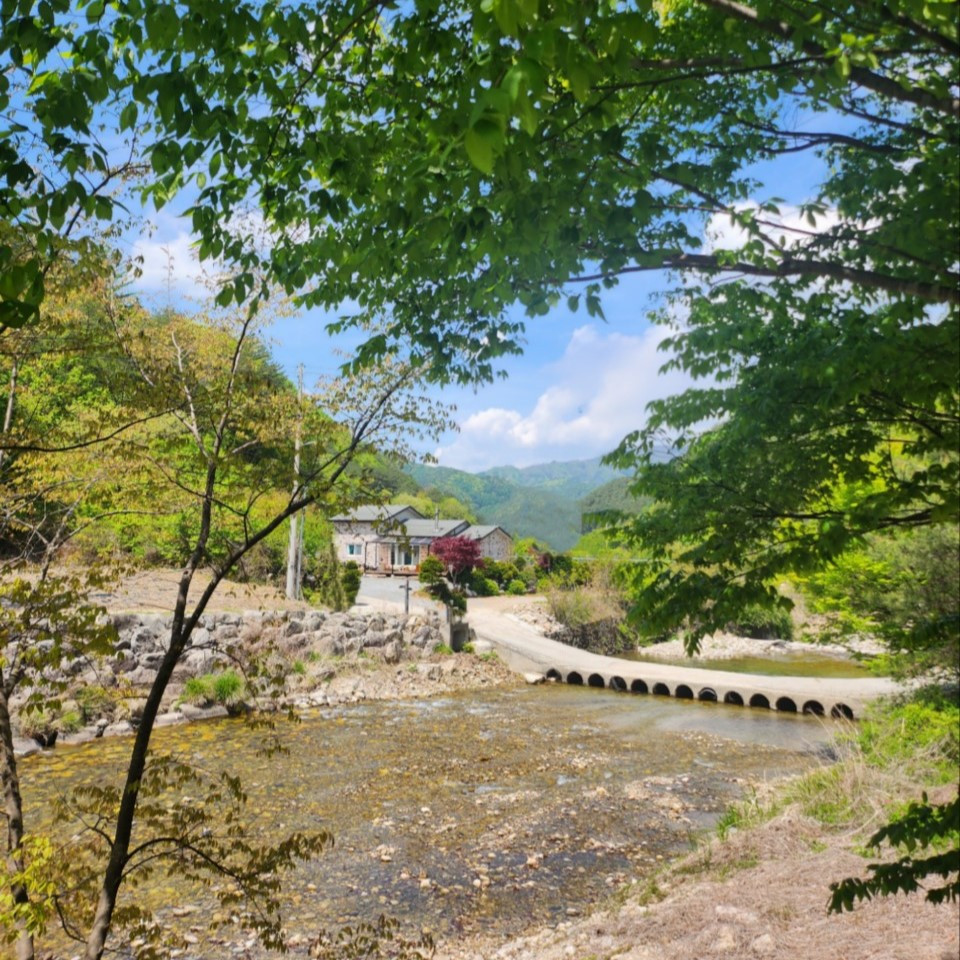 단양하늘마루독채펜션 이미지