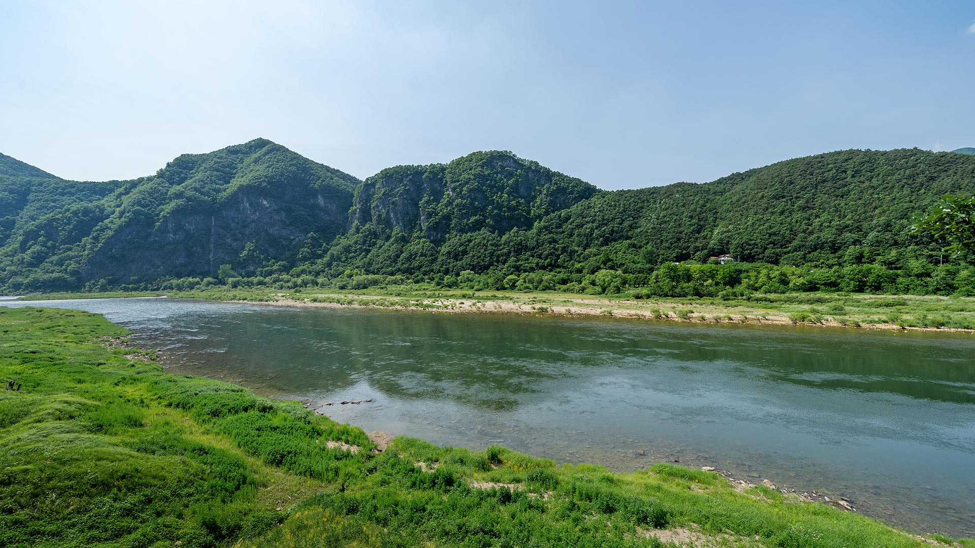 강아지풀애견펜션 이미지