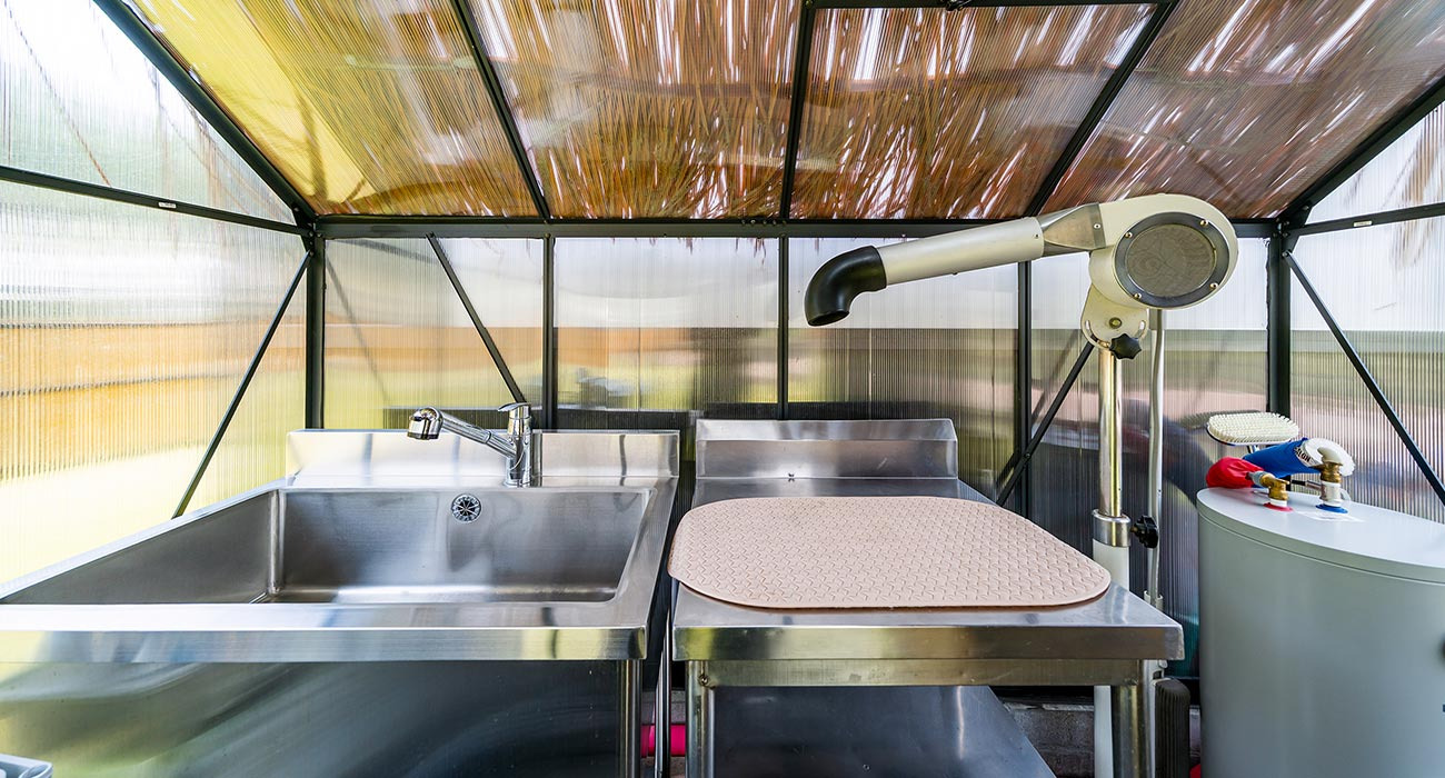 강아지풀애견펜션 이미지