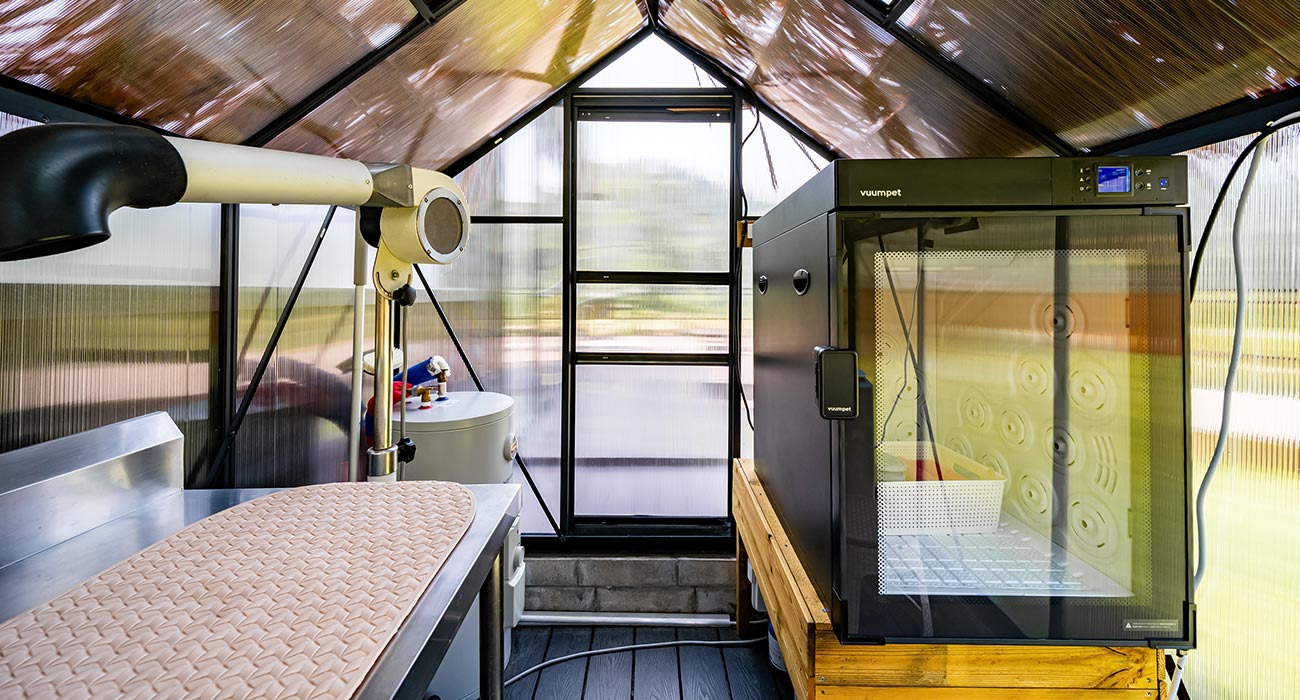 강아지풀애견펜션 이미지