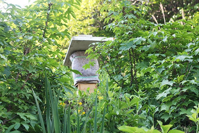 방곡산길따라펜션 이미지