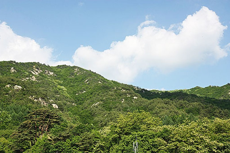 방곡산길따라펜션 이미지
