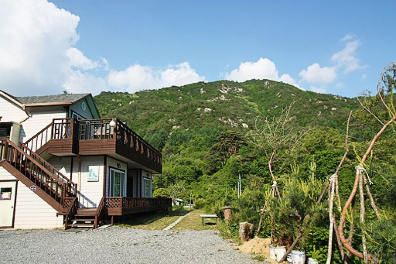 방곡산길따라펜션 이미지