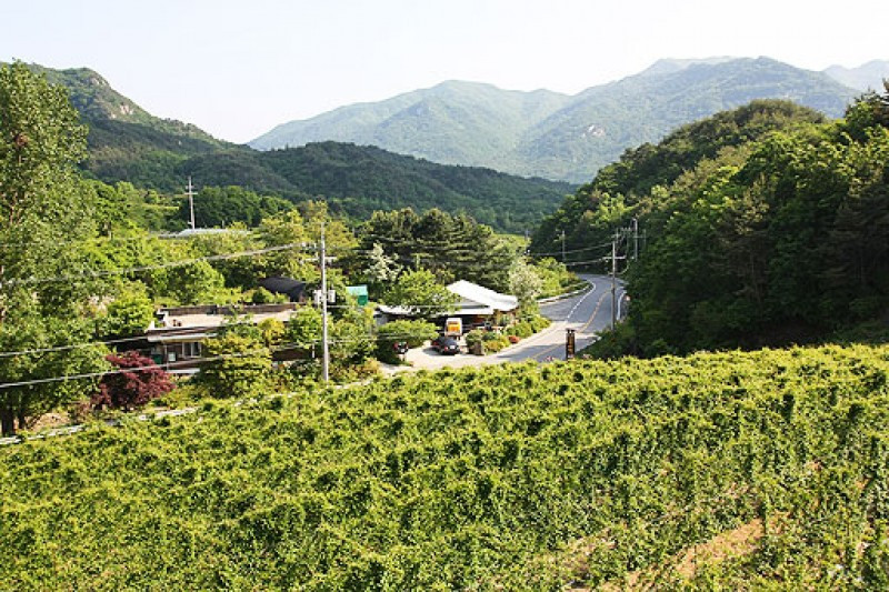 방곡산길따라펜션 이미지