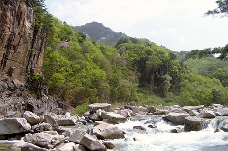 방곡산길따라펜션 이미지