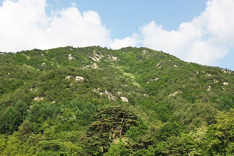 방곡산길따라펜션 이미지