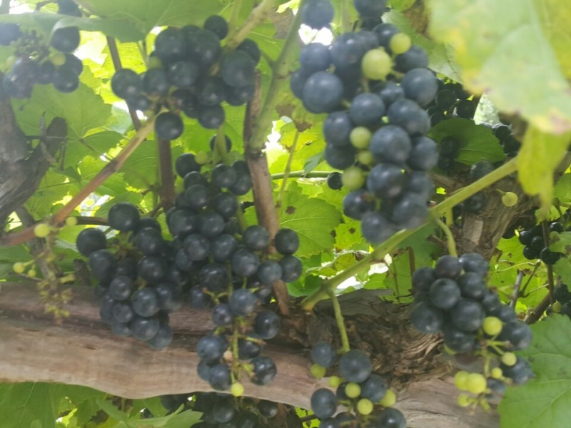 별빛한옥펜션 이미지