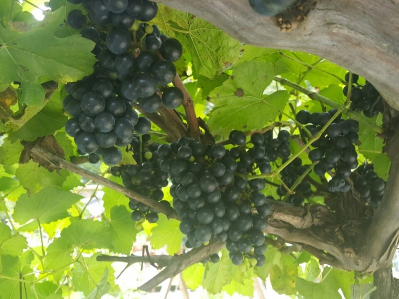 별빛한옥펜션 이미지