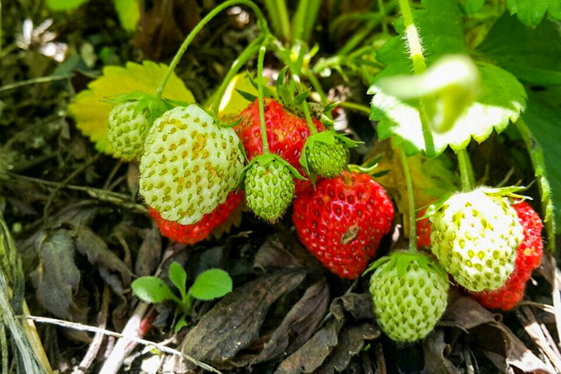 별빛한옥펜션 이미지