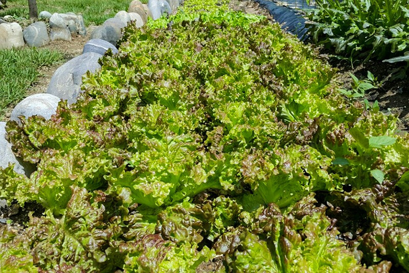 별빛한옥펜션 이미지