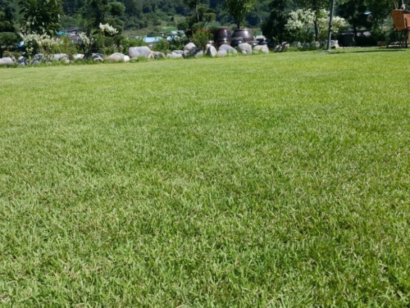 별빛한옥펜션 이미지