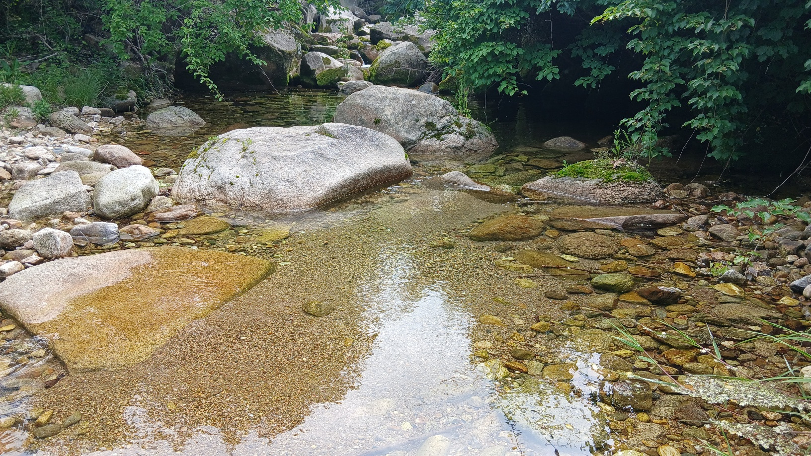청풍힐링스테이 이미지