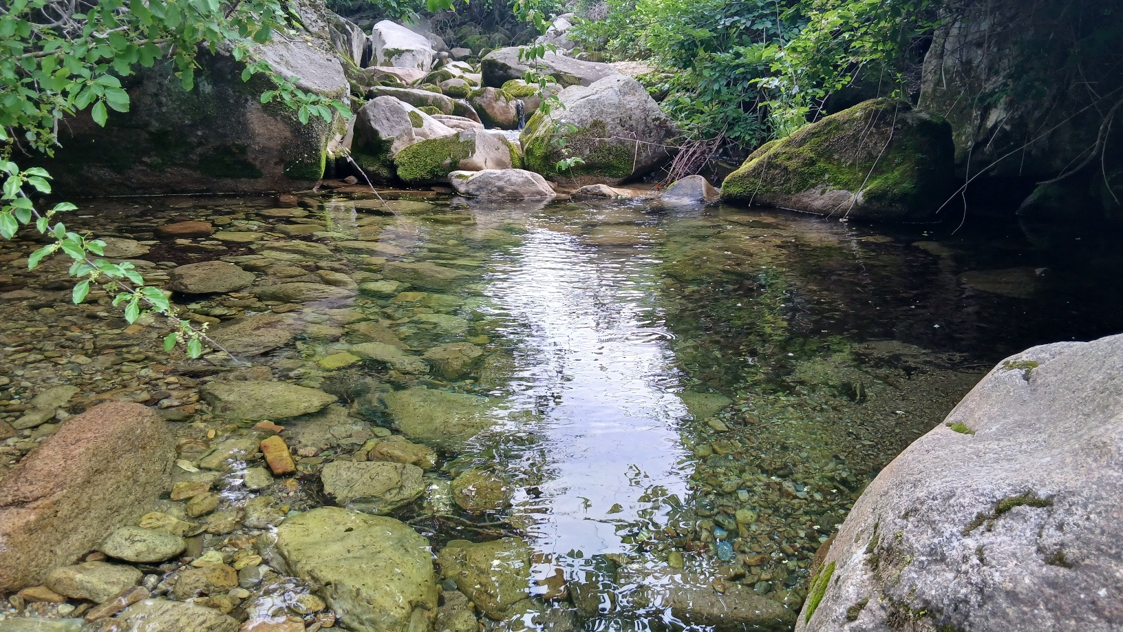 청풍힐링스테이 이미지