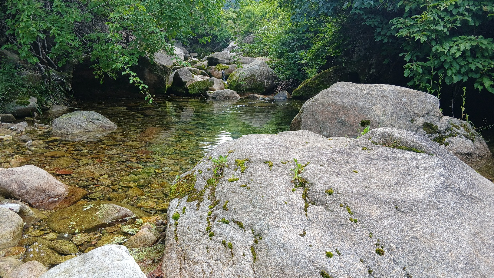 청풍힐링스테이 이미지