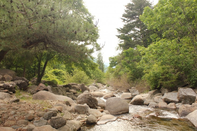 정우네펜션 이미지