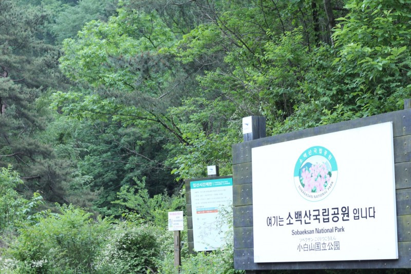 정우네펜션 이미지