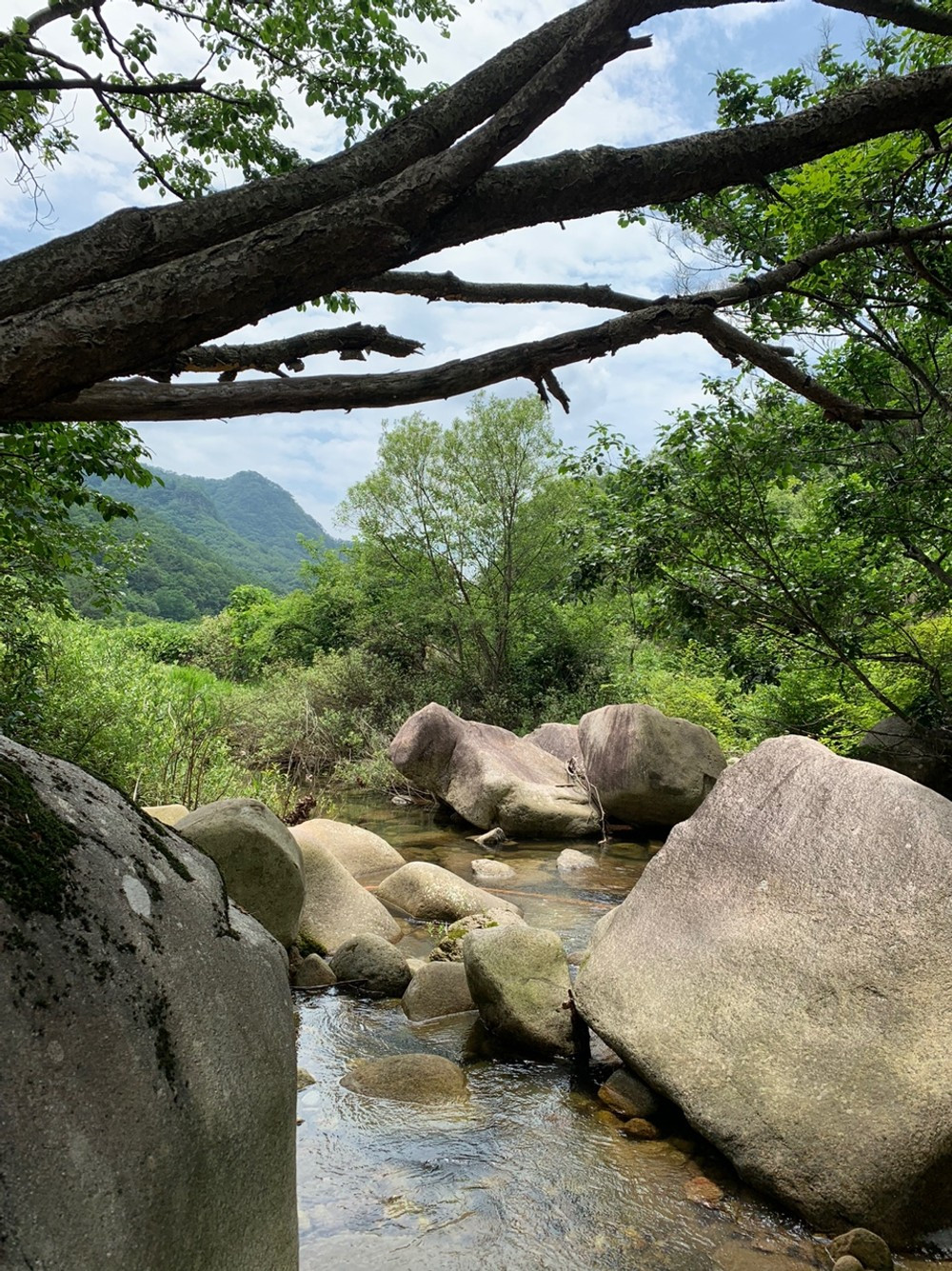 작은천국펜션 이미지