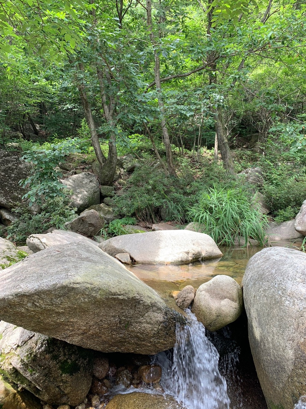 작은천국펜션 이미지