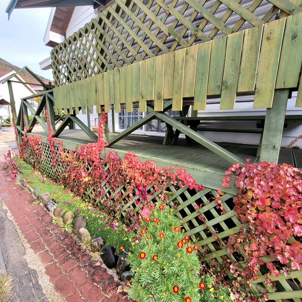 작은천국펜션 이미지