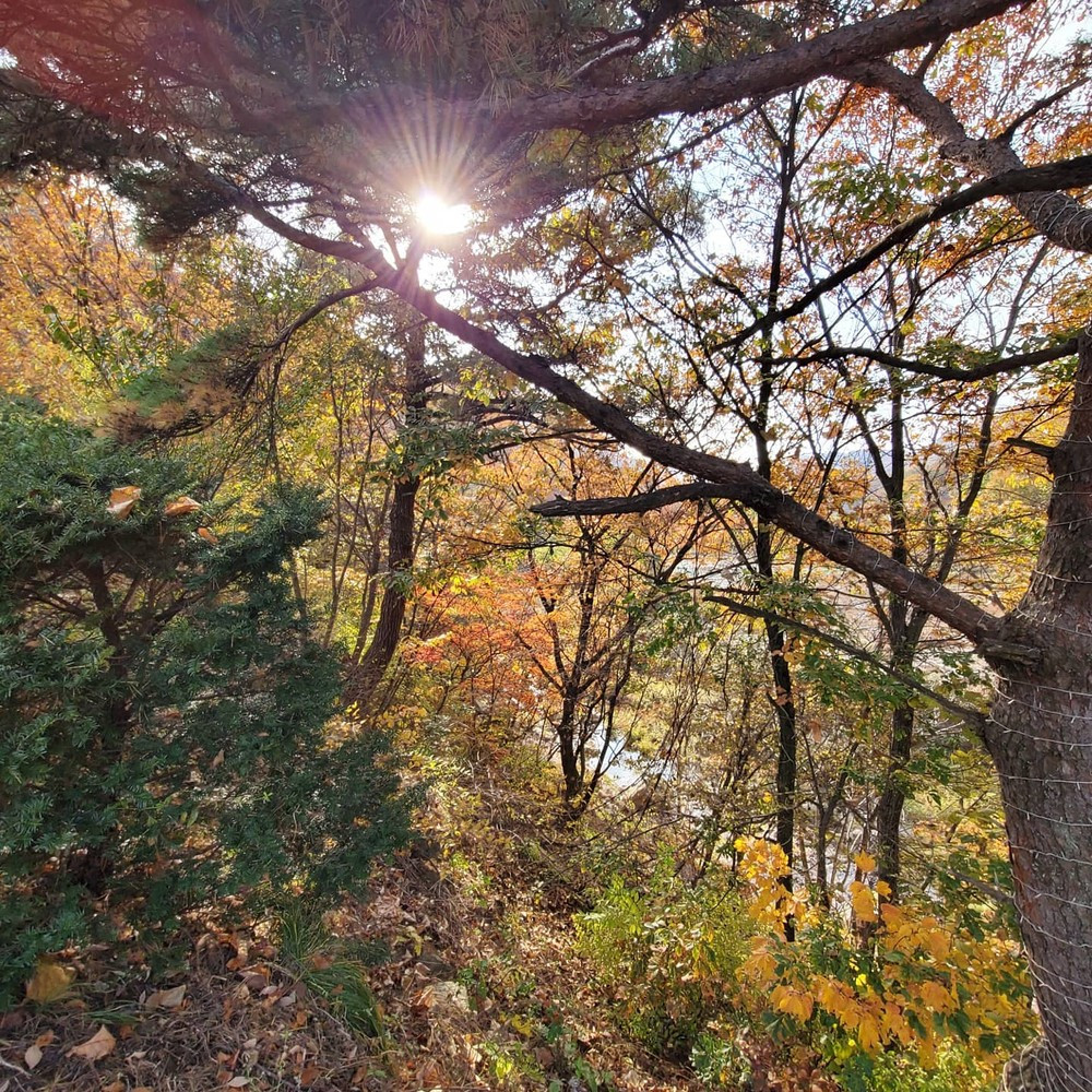 작은천국펜션 이미지