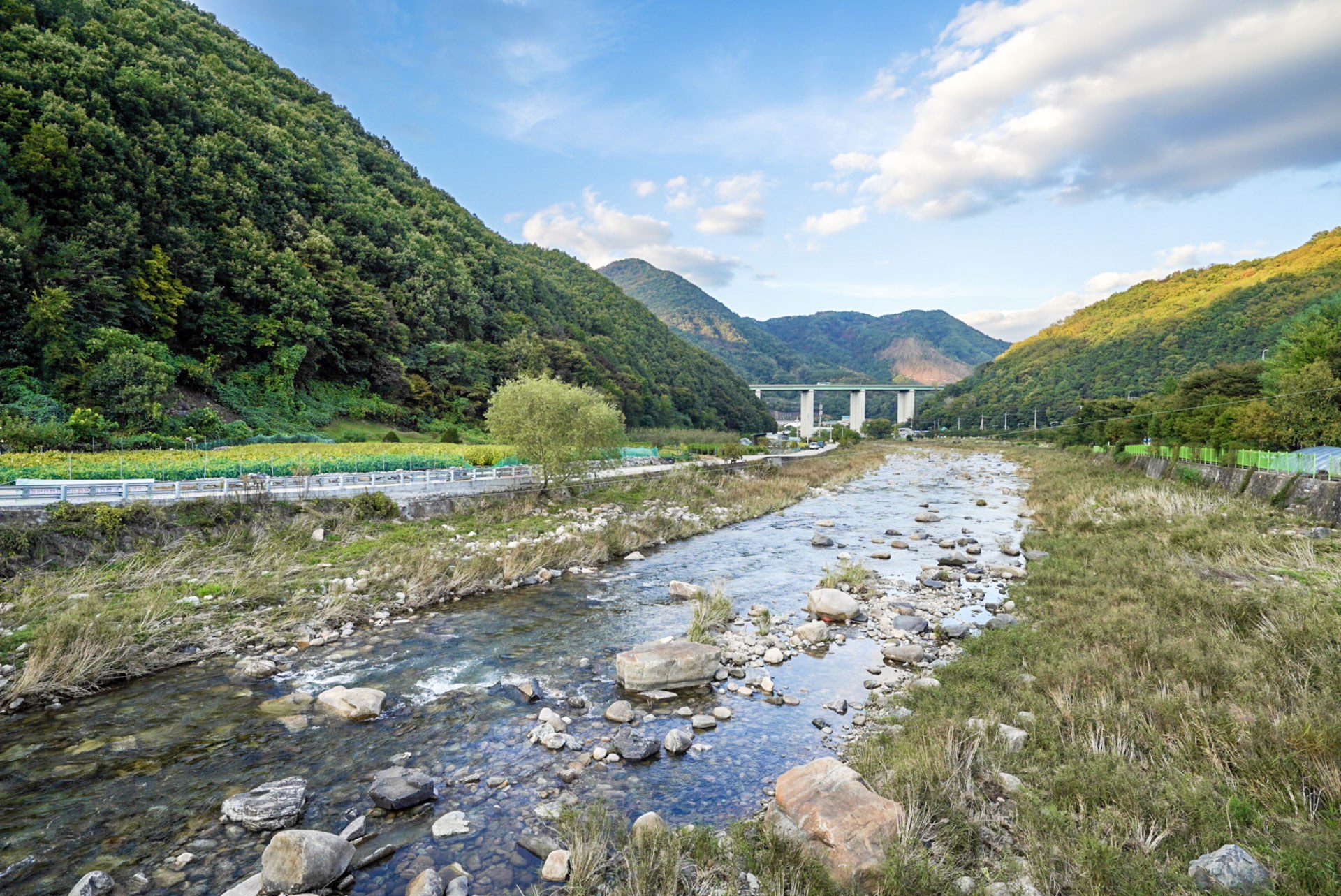 소뜰펜션 이미지