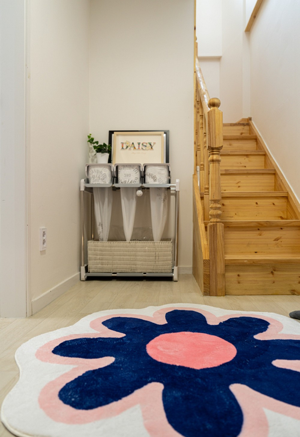 데이지닮다 이미지