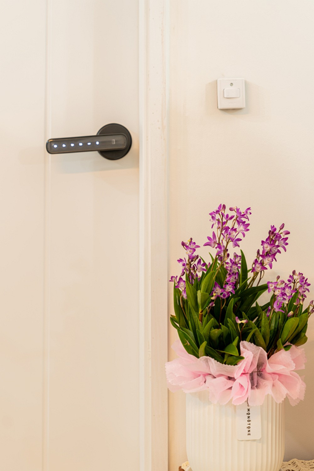 데이지닮다 이미지