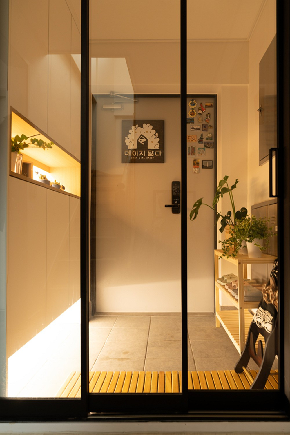 데이지닮다 이미지