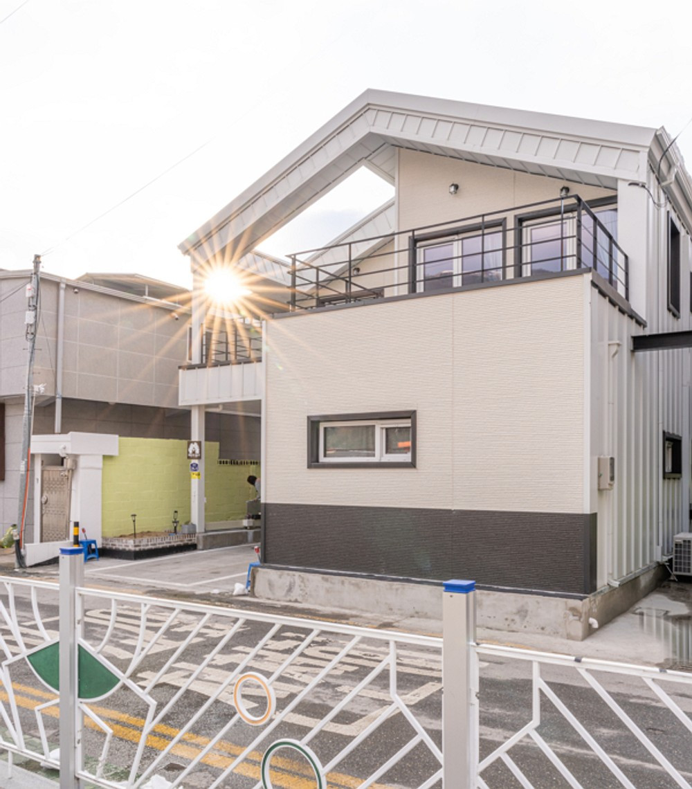 데이지닮다 이미지