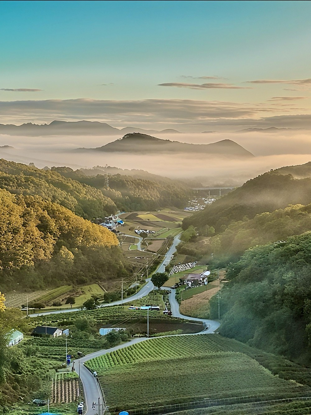 소야스테이 이미지