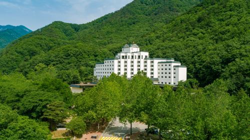 켄싱턴호텔 설악 5